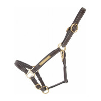 Licol cuir avec plaque à graver T de T Noir
