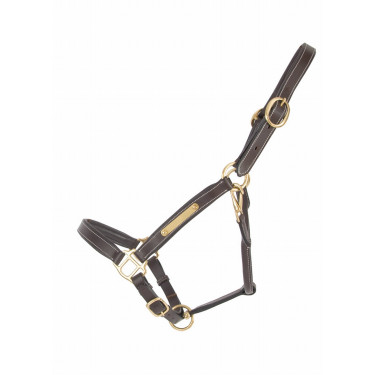 Licol cuir avec plaque à graver T de T Licol cuir avec plaque à graver T de T