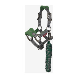 Licol et longe Mini LeMieux Vogue Vert hunter