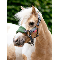 Licol et longe Mini LeMieux Vogue Vert hunter