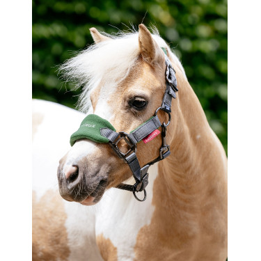 Licol et longe Mini LeMieux Vogue Vert hunter