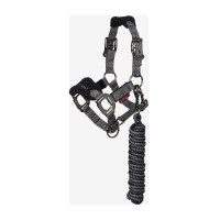 Licol et longe Mini LeMieux Vogue Noir