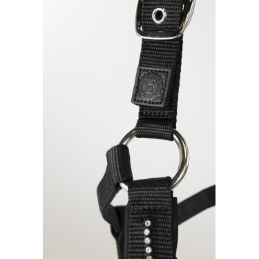 Licol et longe Harcour Amour Noir Licol et longe Harcour Amour Noir