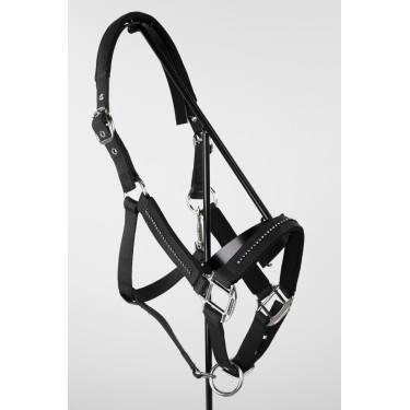 Licol et longe Harcour Amour Noir Licol et longe Harcour Amour Noir