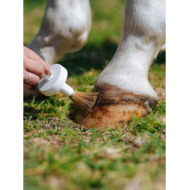 Natural'Hoof Natural'Innov Natural'Hoof Natural'Innov