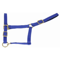 Licol synthétique doublé suédine T de T Beige Licol synthétique doublé suédine T de T Beige