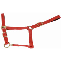Licol synthétique doublé suédine T de T Rouge