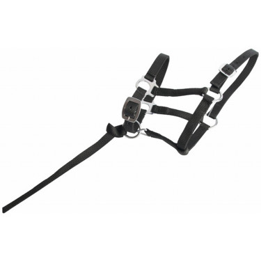 Licol foal synthétique T de T Noir