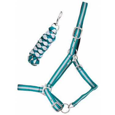 Licol synthétique doublé + longe tressée américaine T de T Licol synthétique doublé + longe tressée américaine T de T