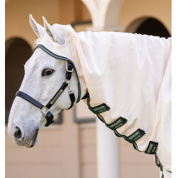 Couverture intégrale Horseware Rambo Hoody XL 0g Craie / vert chasseur / argent Blanc Couverture intégrale Horseware Rambo Hoody XL 0g Craie / vert chasseur / argent Blanc