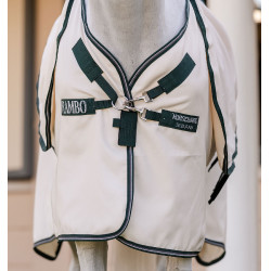 Couverture integrale Horseware Rambo hoody Poney 0g Craie / vert chasseur / argent Blanc Couverture integrale Horseware Rambo hoody Poney 0g Craie / vert chasseur / argent Blanc