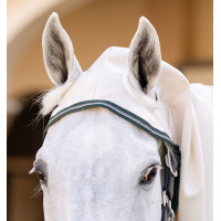 Couverture integrale Horseware Rambo hoody Poney 0g Craie / vert chasseur / argent Blanc Couverture integrale Horseware Rambo hoody Poney 0g Craie / vert chasseur / argent Blanc
