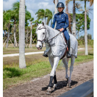 Couvre-reins Horseware anti-mouches Fluo Amigo Flyrider 0g Argent / gris titanium / argent Couvre-reins Horseware anti-mouches Fluo Amigo Flyrider 0g Argent / gris titanium / argent