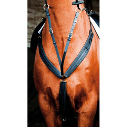 Collier de chasse Biotack T de T