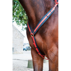Collier de chasse Biotack T de T Orange