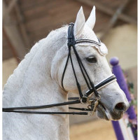 Bride de dressage Ribera cuir rond T de T Noir
