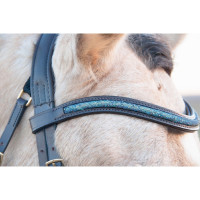 Bridon Guardi T de T Aqua têtière anatomique cuir Softy Havane foncé Marron