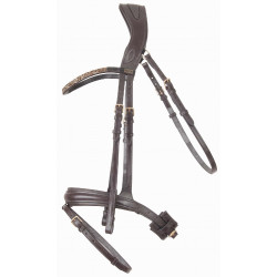Bridon têtière anatomique Hopper T de T strass Marron / doré Bridon têtière anatomique Hopper T de T strass Marron / doré
