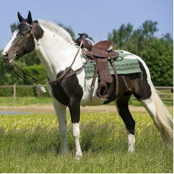 Selle Western Westride Topeka