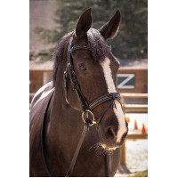 Bridon Pénélope Smoothie Noir Bridon Pénélope Smoothie Noir