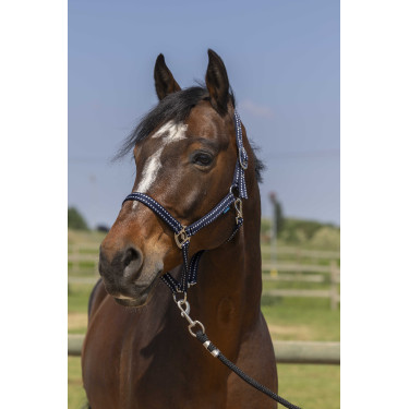 Licol Norton Grooming Bleu marine Licol Norton Grooming Bleu marine