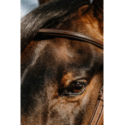 Bridon Norton Hunter Marron Bridon Norton Hunter Marron