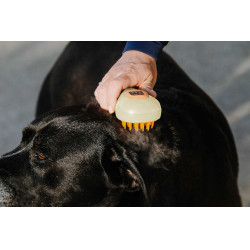 Etrille Hippotonic Vapeur Crème Beige