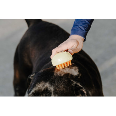 Etrille Hippotonic Vapeur Etrille Hippotonic Vapeur