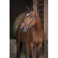 Bridon Norton Pro Fin Havane Marron Bridon Norton Pro Fin Havane Marron