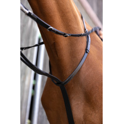 Enrênement Norton Pro Thiedeman Noir Enrênement Norton Pro Thiedeman Noir