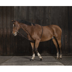 Enrênement Norton extenseur doux Marron