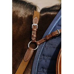 Collier de chasse Norton 5 points Havane Marron Collier de chasse Norton 5 points Havane Marron