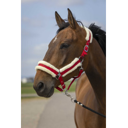Licol Equithème Nylon Mouton Rouge / blanc Licol Equithème Nylon Mouton Rouge / blanc