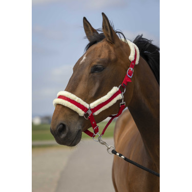 Licol Equithème Nylon Mouton Licol Equithème Nylon Mouton