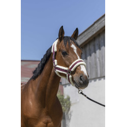 Licol Norton Cosy Bordeaux Licol Norton Cosy Bordeaux