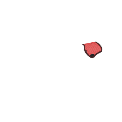 Tapis de selle LeMieux Toy Pony Cranberry Rose