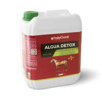 Algua Detox Paskacheval Algua Detox Paskacheval