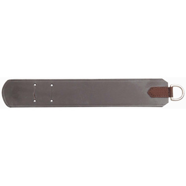 Fixation pour enrênements à la sangle T de T Fixation pour enrênements à la sangle T de T