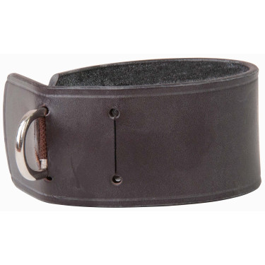 Fixation pour enrênements à la sangle T de T Fixation pour enrênements à la sangle T de T