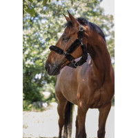 Licol Norton Full mouton synthétique Noir / noir