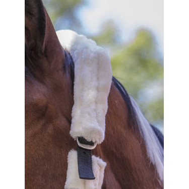 Licol Norton Full mouton synthétique Noir / écru