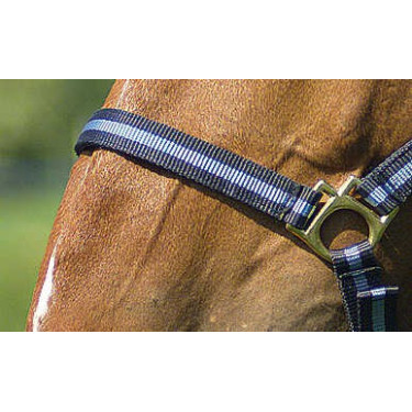 Licol nylon doublé cuir Norton Licol nylon doublé cuir Norton