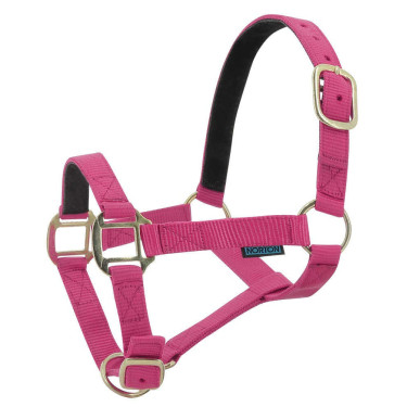 Licol nylon doublé cuir Norton Licol nylon doublé cuir Norton