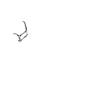 Licol LeMieux Ropella Lilac Violet