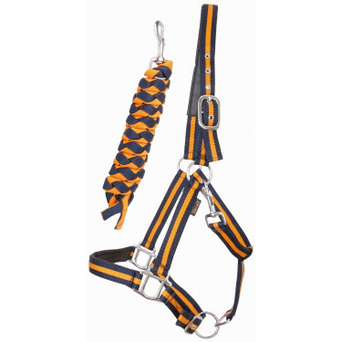 Licol doublé caoutchouc avec longe T de T Licol doublé caoutchouc avec longe T de T