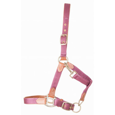 Licol en cuir et sangle T de T Licol en cuir et sangle T de T