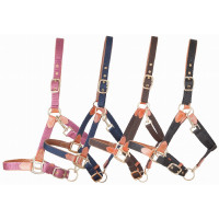 Licol en cuir et sangle T de T Bordeaux