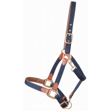 Licol en cuir et sangle T de T Licol en cuir et sangle T de T