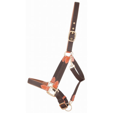 Licol en cuir et sangle T de T