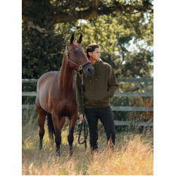 Sweat à capuche LeMieux homme Alpine Marron Sweat à capuche LeMieux homme Alpine Marron